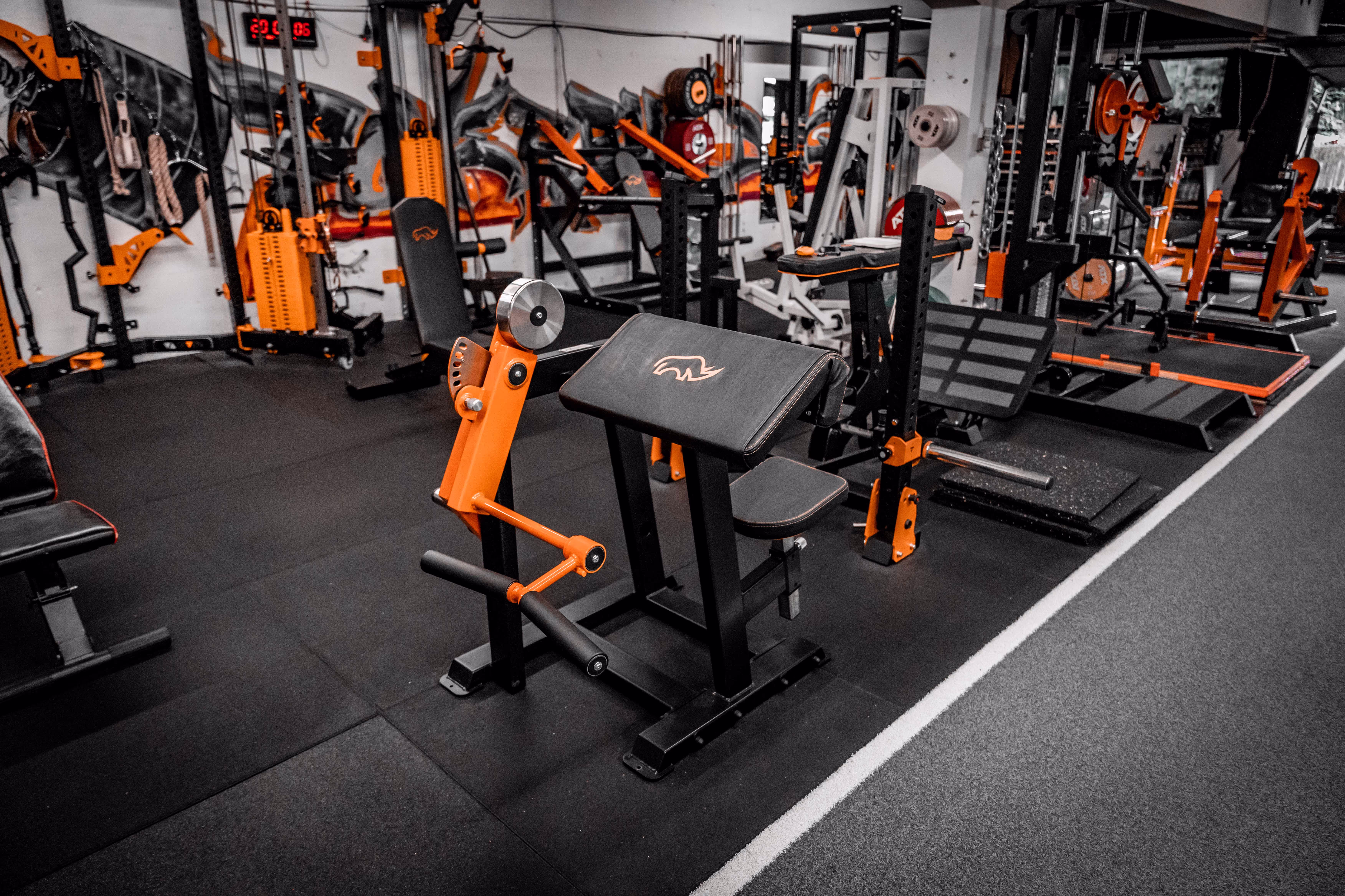 Preacher Curl